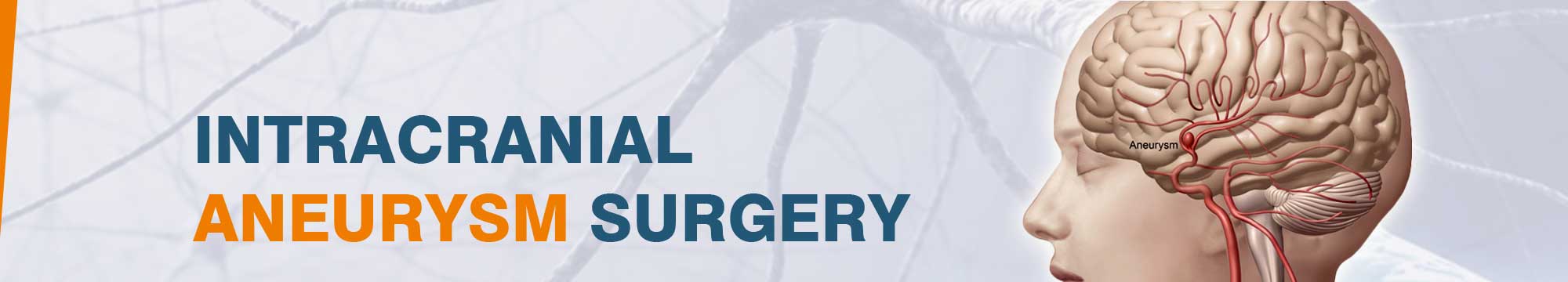 cost of brain aneurysm surgery in india
