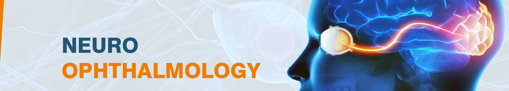 Neuro Ophthalmology in India